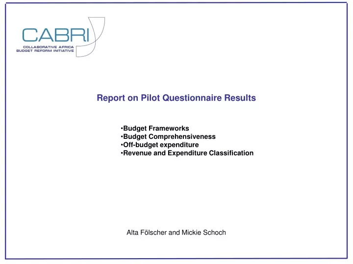 report on pilot questionnaire results budget