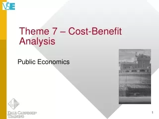 Theme 7  – Cost-Benefit Analysis