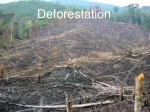 Deforestation - slide 1