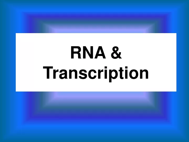 rna transcription