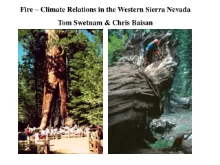 Fire – Climate Relations in the Western Sierra Nevada Tom Swetnam &amp; Chris Baisan