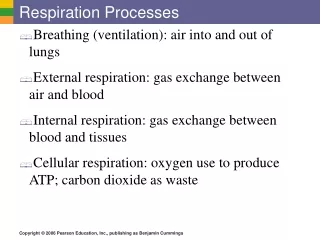 Respiration Processes