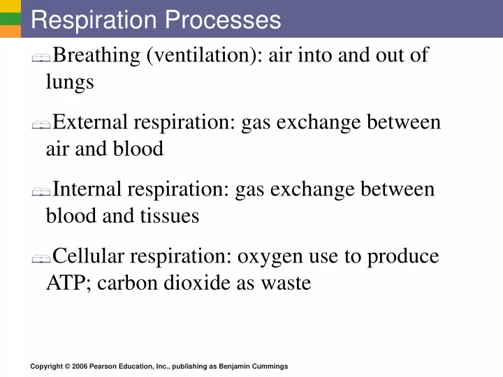 respiration processes