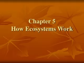 Chapter 5 How Ecosystems Work