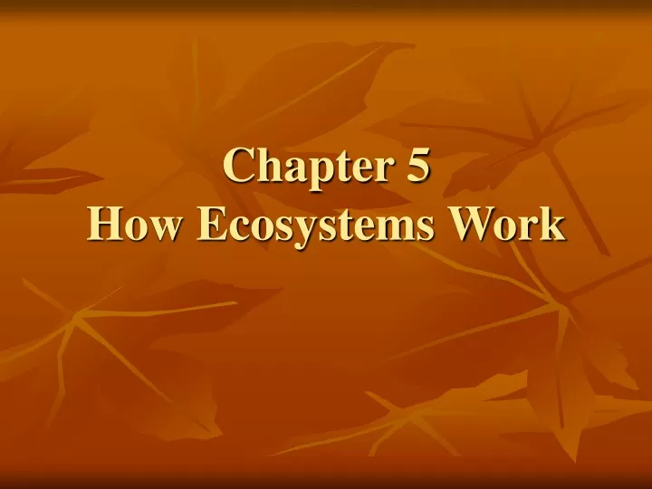 chapter 5 how ecosystems work