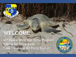 WELCOME 45 th  Space Wing Sea Turtle  P rogram Patrick Air Force Base