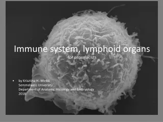 Immune system, lymphoid organs for pharmacists