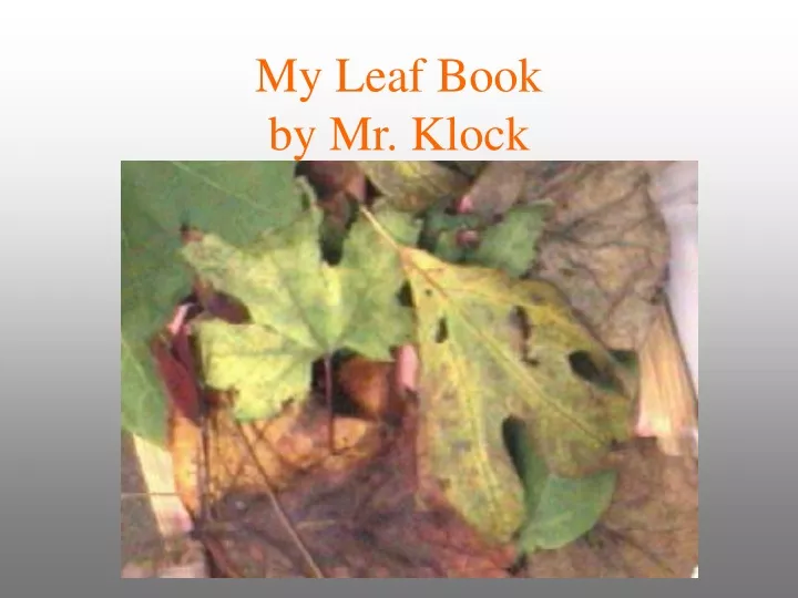 my leaf book by mr klock