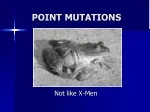 Point Mutations and Chromosomal Abnormalities - slide 1