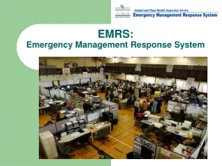 EMRS:  Emergency Management Response System