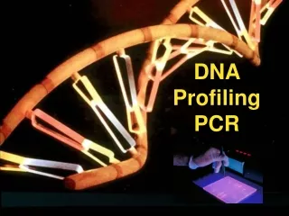 DNA  Profiling PCR