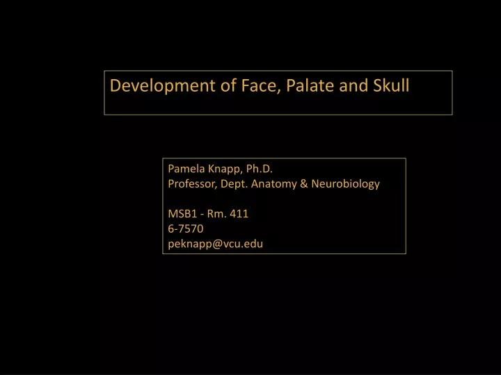 development of face palate and skull