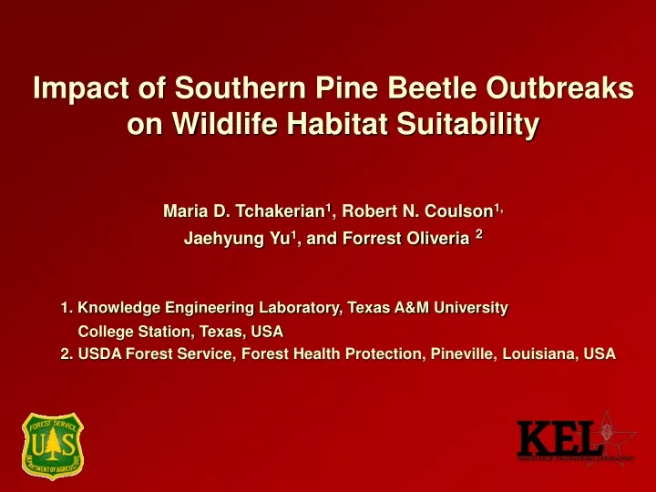impact of southern pine beetle outbreaks