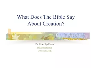 What Does The Bible Say About Creation?