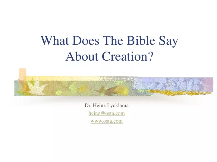 what does the bible say about creation