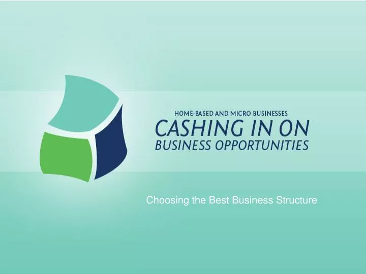 choosing the best business structure