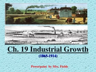 Ch. 19 Industrial Growth (1865-1914)