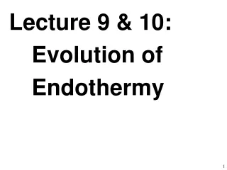 Lecture 9 &amp; 10: 	Evolution of 	Endothermy