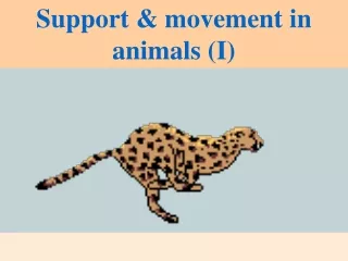 Support &amp; movement in animals (I)