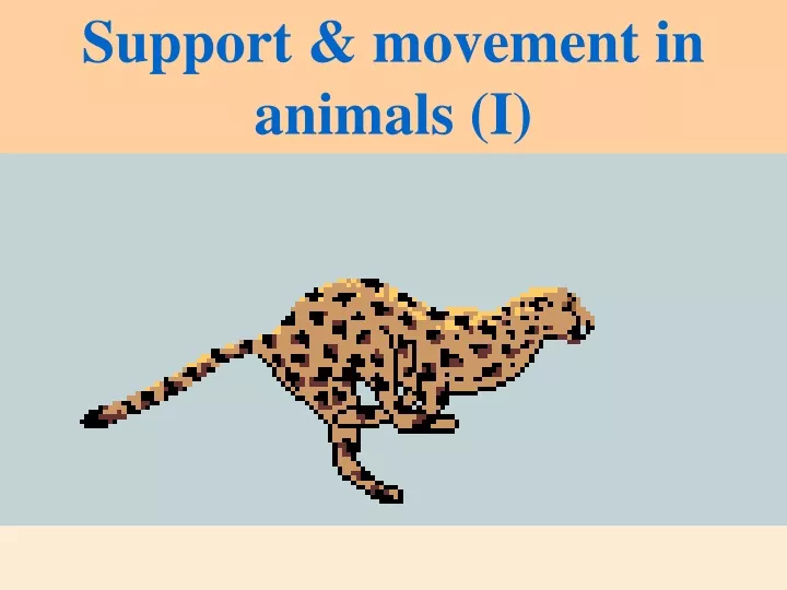 support movement in animals i