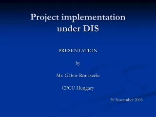 Project implementation under DIS