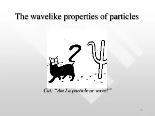 The wavelike properties of particles