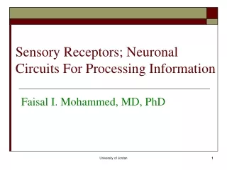 Sensory Receptors; Neuronal Circuits For Processing Information