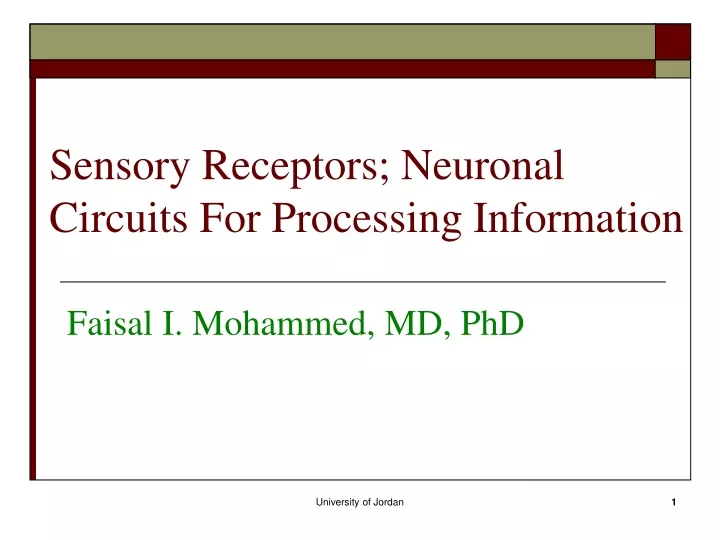 sensory receptors neuronal circuits for processing information