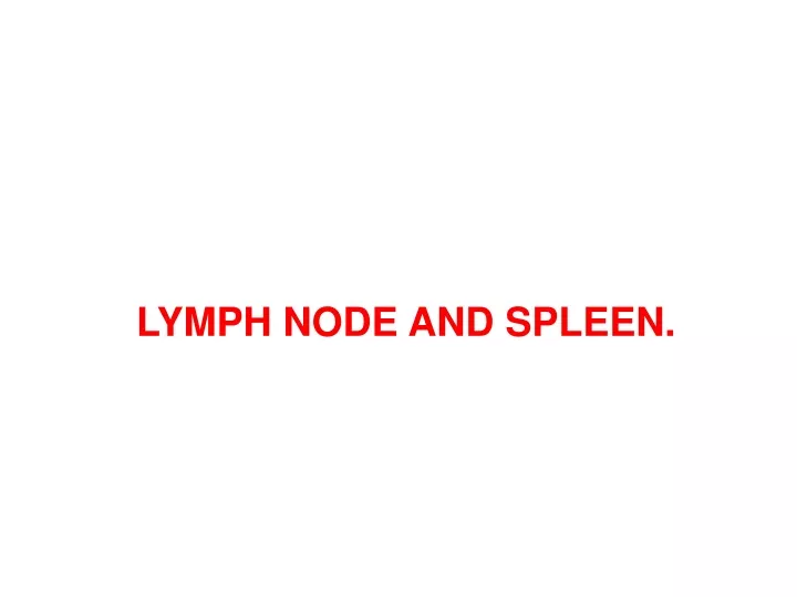 lymph node and spleen
