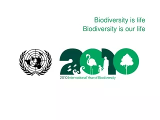 Biodiversity is life Biodiversity is our life