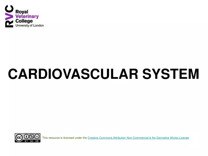 cardiovascular system