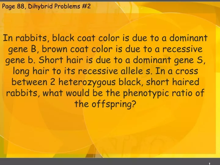 page 88 dihybrid problems 2