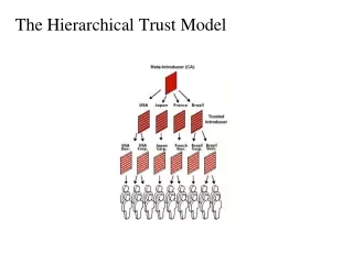 The Hierarchical Trust Model