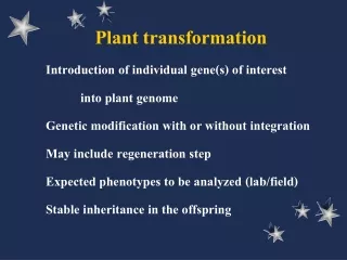 Plant transformation