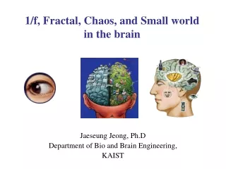 1/f, Fractal, Chaos, and Small world in the brain