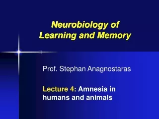Prof. Stephan Anagnostaras Lecture 4:  Amnesia in humans and animals