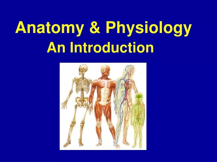 anatomy physiology an introduction
