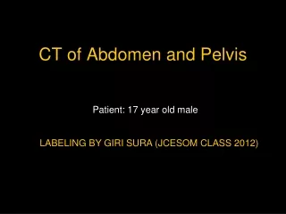 CT of Abdomen and Pelvis