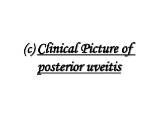 (c)  Clinical Picture of  posterior uveitis