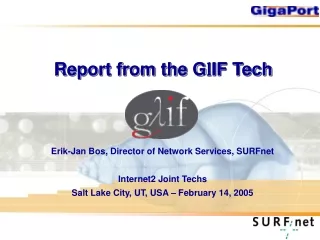 Report from the G l IF Tech