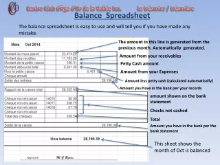 Balance  Spreadsheet