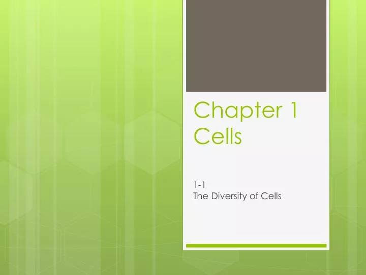 chapter 1 cells