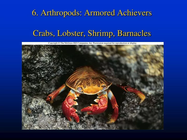 6 arthropods armored achievers crabs lobster shrimp barnacles