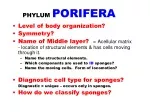Level of body organization? Symmetry? - slide 1