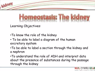 Learning Objectives: To know the role of the kidney