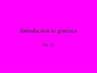 Introduction to genetics