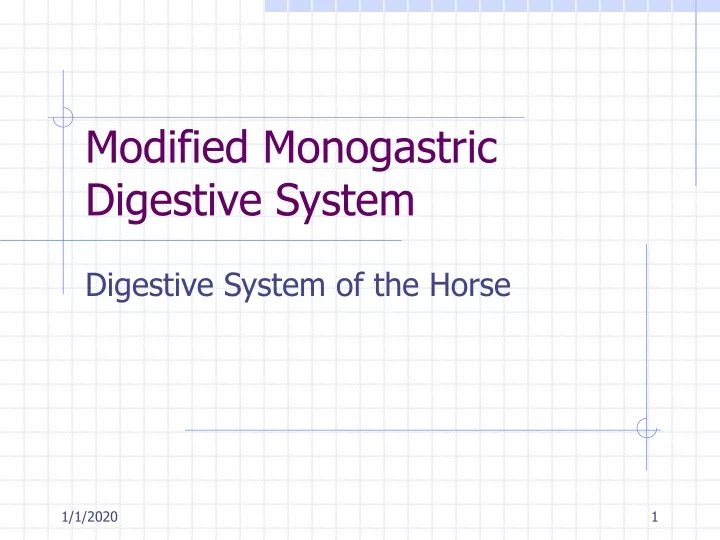 modified monogastric digestive system