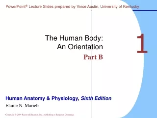 The Human Body: An Orientation Part B