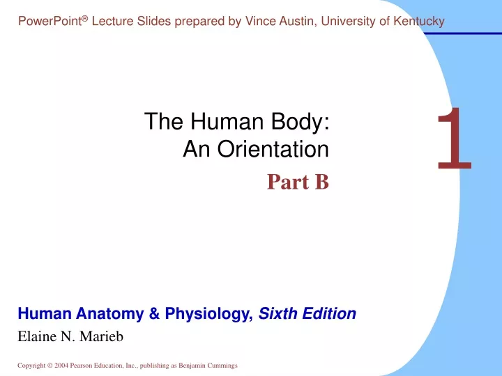 the human body an orientation part b