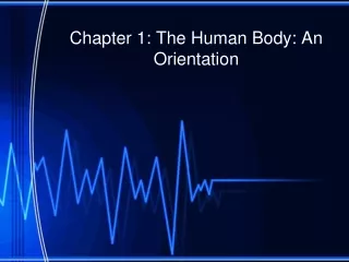 Chapter 1: The Human Body: An Orientation